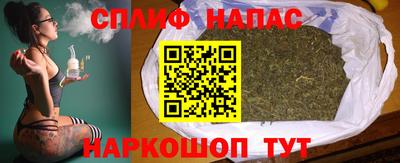 амф Гай