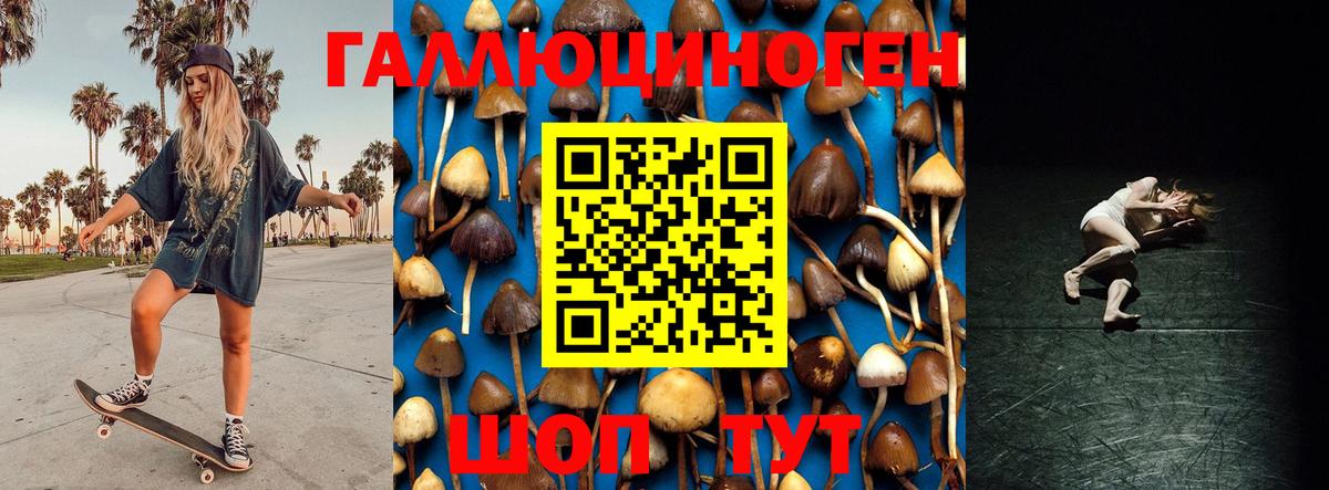 Псилоцибиновые грибы GOLDEN TEACHER Реж