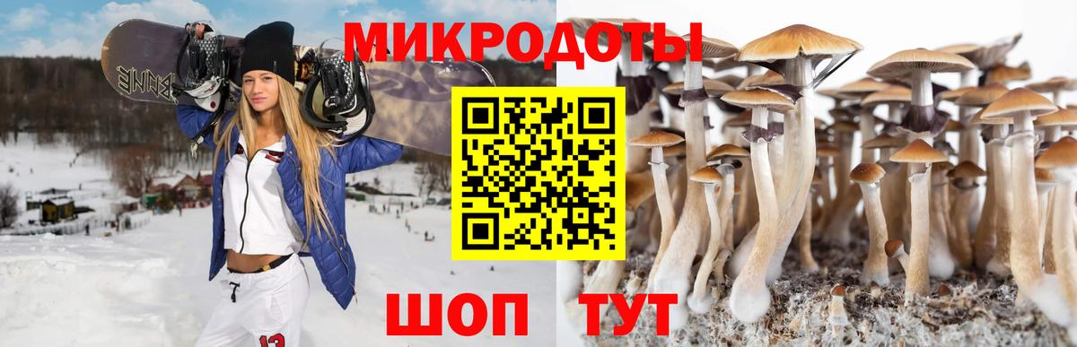 Реж  Галлюциногенные грибы мухоморы  Вход с VPN 